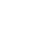 BigCommerce developer